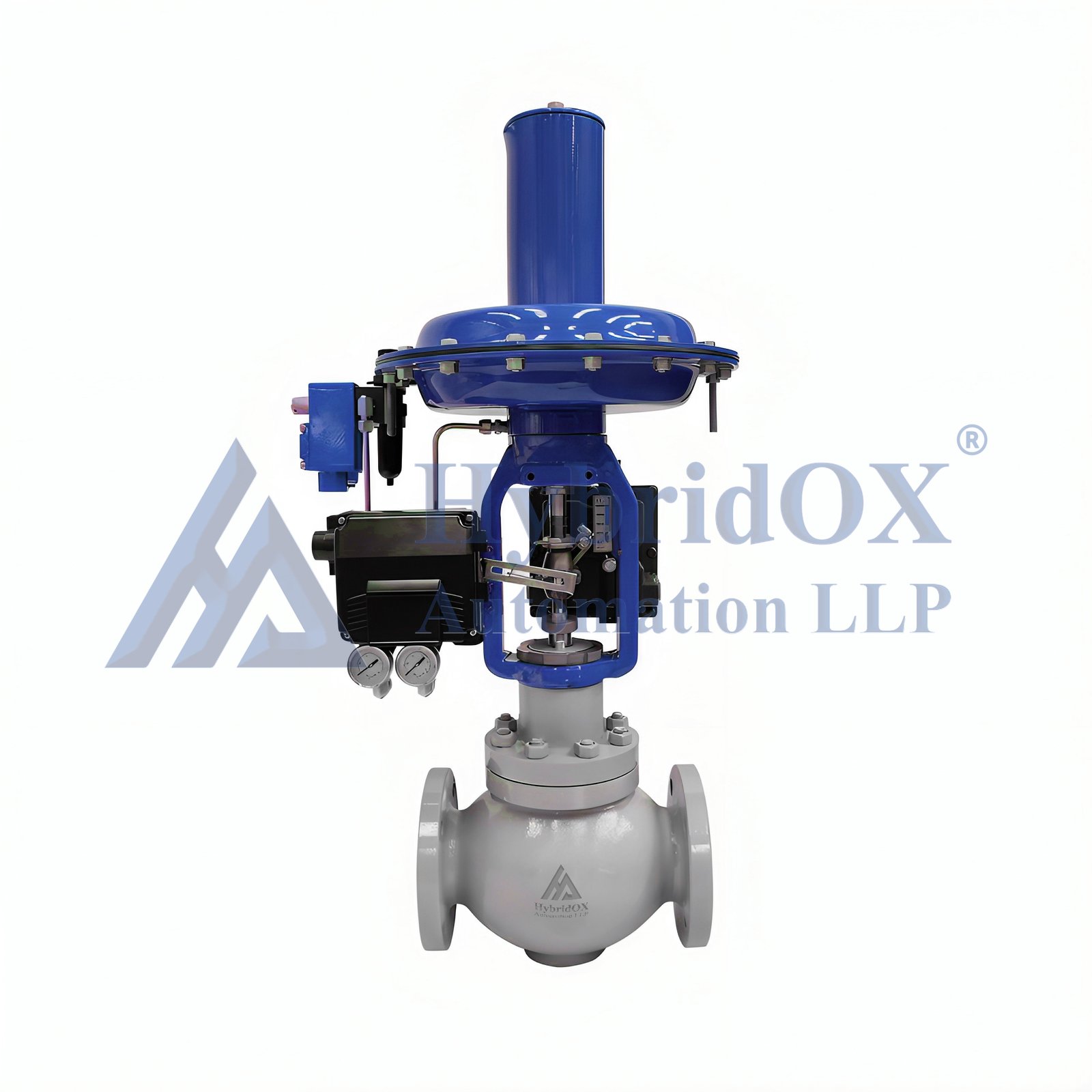 Two-Way Control Globe Valve